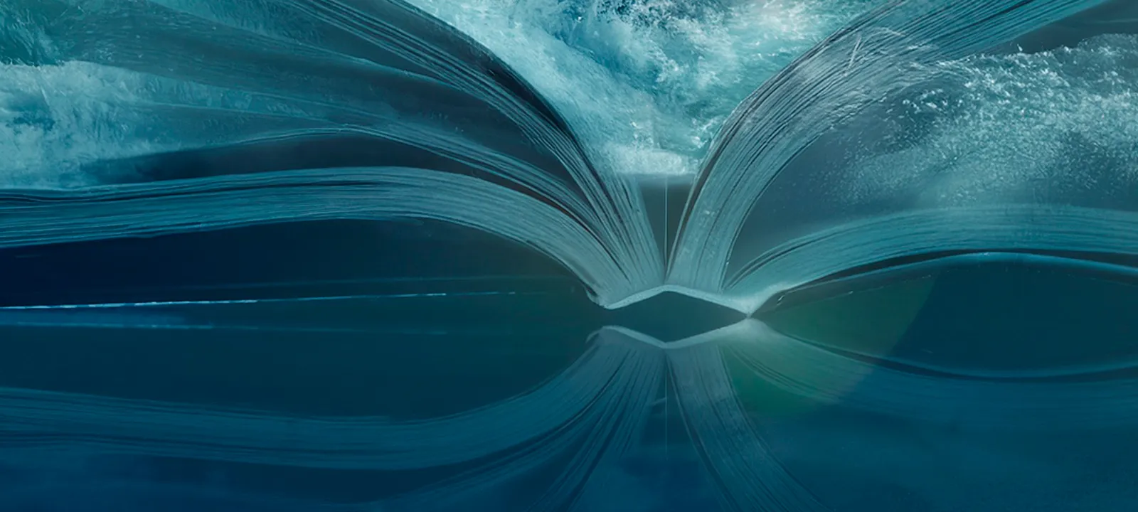 NOUVEAU Catalogue Vhm CANALISATION 2026